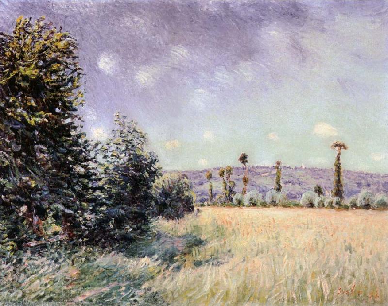 Alfred Sisley Sahurs Meadows in the Morning Sun